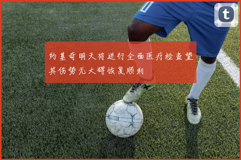 约基奇明天将进行全面医疗检查望其伤势无大碍恢复顺利